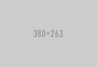 team portfolio